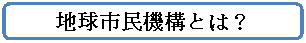 角丸四角形: 地球市民機構とは？

